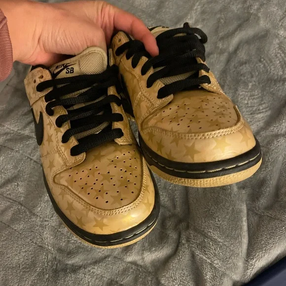 Nike trickstar dunk
